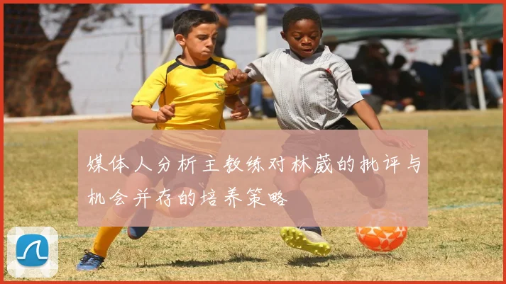 媒体人分析主教练对林葳的批评与机会并存的培养策略