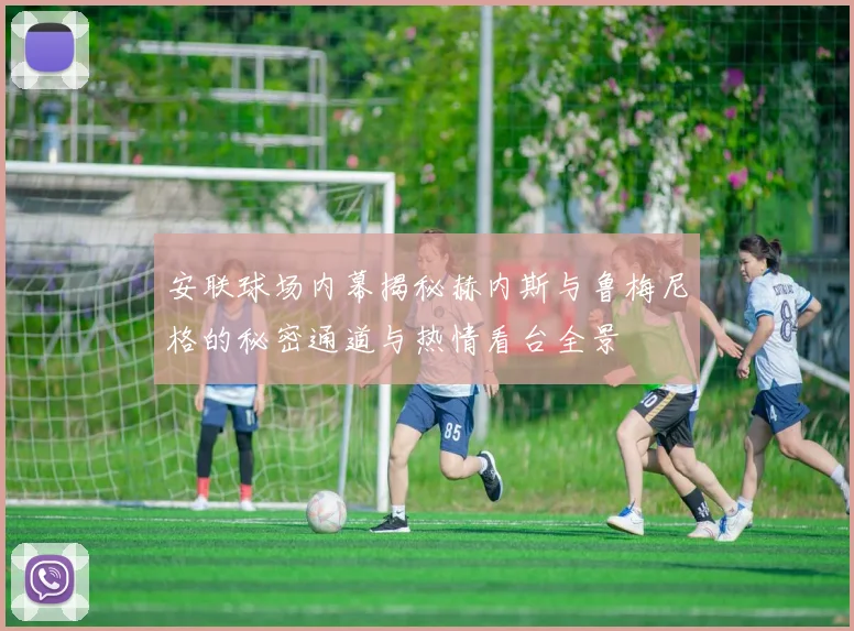 安联球场内幕揭秘赫内斯与鲁梅尼格的秘密通道与热情看台全景