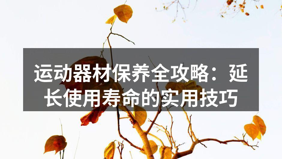 定期清洁运动器材，延长使用寿命
